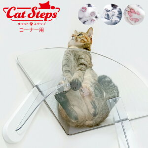 LbgXebv R[i[p catsteps ^JY PC30R 1 NA  Ǖt  t ybg L ˂ ^ X^h ybgpi ώ@ IV  킢  LJtF 