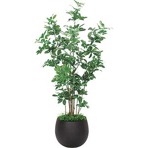 ItBXO[ VFt W900×H1800×D900 {bNXv^[ GR5007 lHϗtA ؃v^[ tFCNO[ ItBX O[ lHA A[gO[ CeAO[ ϗt