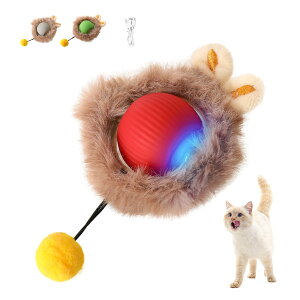 L   L {[ L 3[h\ Type-C[d  XgX ˂ ^s lR  ybg L̂ L lVт lR 