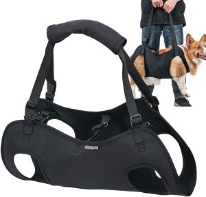 pn[lX s⏕ Vp s⏕n[lX s ⏕n[lX T|[gn[lX U gCyɕsT|[g ԂKi⏕ ߂₷^ ^ 