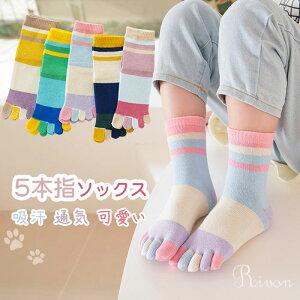 �_�I�ׂ�3���Z�b�g�^5�{�w�\�b�N�X �q���p �C�� �\�b�N�X 3�� �ʋC �_�炩�� �C�� ����Ԃ� ���킢�� �C�� ������� ����~�� �ʋC�� ���ǂ��p �C�� �\�b�N�X �j�̎q �X�|�[�c�\�b�N�X �q�� 