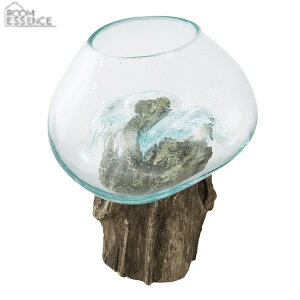 KXIuWF KX    AEghA ChA K[ft@j`[ O O x_ eX OsO K[f AEghA CeA ChA TTZ-3