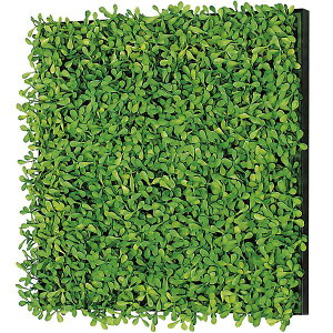 ItBXO[ W300×H300 tFCNO[ O[pl ItBX O[ lHA A[gO[ CeAO[ ϗtA O[ GR1154 30p ǖʗΉ ǖʃO[ v[ 