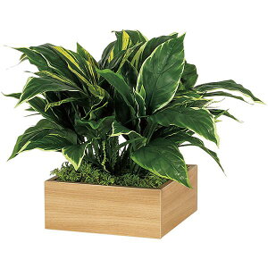 ItBXO[ |bg W450×H400×D450 {bNXv^[ GR4281  XNGA^Cv lHϗtA ؃v^[ tFCNO[ ItBX O[ lHA A[gO[ C