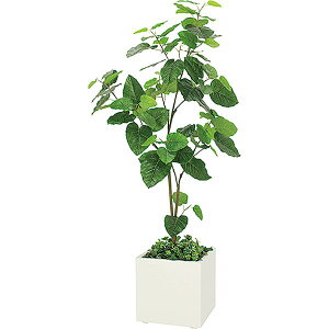 ItBXO[ Ex[^ W850×H1900×D850 {bNXv^[ GR5002 390p lHϗtA ؃v^[ tFCNO[ ItBX O[ lHA A[gO[ CeAO[