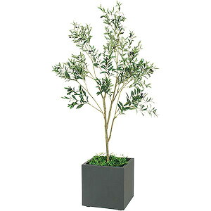 ItBXO[ I[u W900×H1900×D900 {bNXv^[ GR5004 390p lHϗtA ؃v^[ tFCNO[ ItBX O[ lHA A[gO[ CeAO[ 