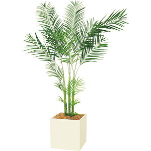 ItBXO[ AJV W1200×H2000×D1200 {bNXv^[ GR5065 390p lHϗtA ؃v^[ tFCNO[ ItBX O[ lHA A[gO[ CeAO[