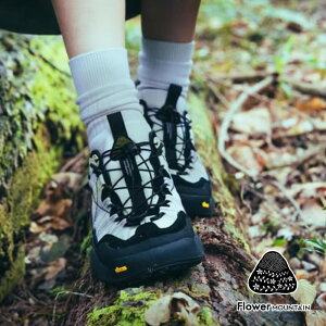 y|Cg10{ 10/30 0:00`23:59z t[}Ee Xj[J[ fB[X Flower MOUNTAIN IWANO 2 Cm 2 FM100010 K戵i