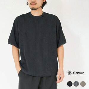 �S�[���h�E�C�� T�V���c �J�b�g�\�[ �����Y ���f�B�[�X ���b�t�����C�g�e�B�[�V���c GOLDWIN GL65143 ���K�戵�i