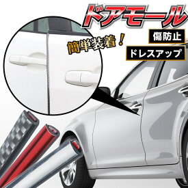 ドアモール メッキ風 ドアエッジモール 5m 車 ドアガード ドレスアップ 傷防止 保護 おしゃれ カー用品
