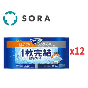 jE`[ EF[u 1tApNуEFbgV[g 12x12 @V[g z zRꏜ Z| ֗ACeyP[Xiz