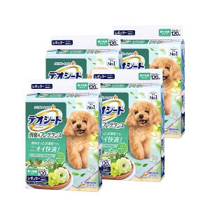 jE`[ fIV[g LtOX O[A}̍ M[ 120×4 z|}[{VRA ԏL葱yP[Xiz