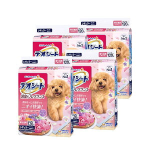 jE`[ fIV[g LtOX t[V{̍ M[ 120×4 ybgp gCV[cyP[Xiz