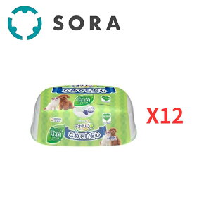 jE`[ fIN[ mAR[ EFbgeBbV {60x12 ybgp薳YV[g LpyP[Xiz