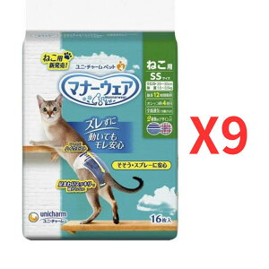 j`[ }i[EFA˂p SSTCY 16x9yP[Xiz