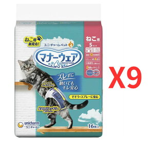 j`[ }i[EFA˂p STCY 16x9yP[Xiz