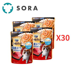 jE`[ ̃Xv[OcOpE` Y܂100 W 炷Eɂ܁E 35g×120yP[Xiz