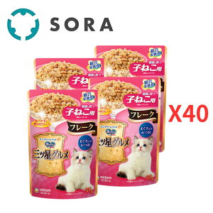 jE`[ ̃Xv[OcOpE` q˂p t[N ܂肩 35g×160yP[Xiz