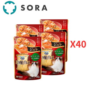 jE`[ ̃Xv[OcOpE` W ܂E  ߓY 35g×160yP[Xiz