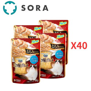 jE`[ ̃Xv[OcOpE` Ƃݎd ܂  炷Y 35g×160yP[Xiz