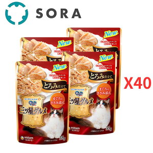 jE`[ ̃Xv[OcOpE` Ƃݎd ܂  ݓY 35g×160yP[Xiz