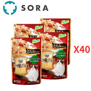 jE`[ ̃Xv[OcOpE` Ƃݎd ܂E  ߓY 35g×160yP[Xiz