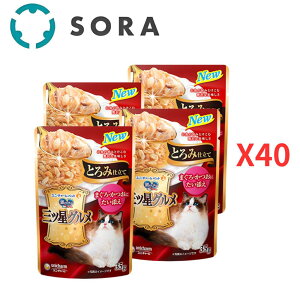 jE`[ ̃Xv[OcOpE` Ƃݎd ܂E  Y 35g×160yP[Xiz