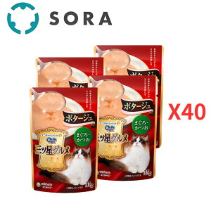 jE`[ ̃Xv[OcOpE` |^[W ܂E 35g×160yP[Xiz