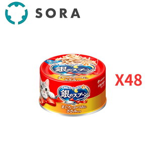 jE`[ ̃Xv[  ܂E  ݓ 70g×48ʁyP[Xiz