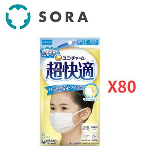 jE`[ K}XN wNp^Cv 5×80 sDz}XN ߃TCY w ԕ΍ PM2.5ΉyP[Xiz