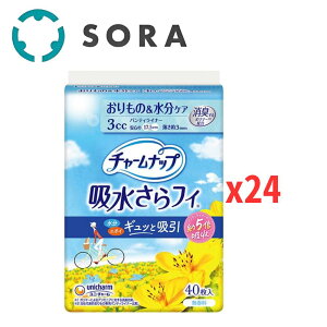 jE`[ `[ibv ztB peBCi[ 3cc  40x24 zPA APA 炳K ^ fC[g gѕ֗yP[Xiz