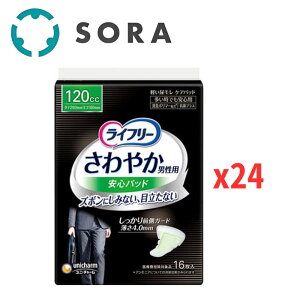 jE`[ Ct[ ₩jpSpbh 120cc 16×24 jp AR΍ zpbh z pi eʁyP[Xiz