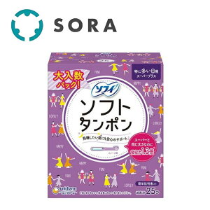 jE`[ \tB \tg^| X[p[vX ɑp 25R zŉqKȐPApi