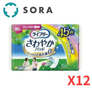 j`[ Ct[ ₩pbh S̒ʗp 80cc 45×12 APApbh ֗pi zPAyP[Xiz