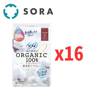 jE`[ \tB ͂ I[KjbNRbg ɑp 230 H 24Rx16 q pivL ܂ƂߔpbNyP[Xiz