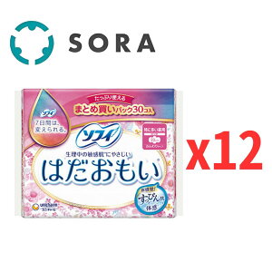 jE`[ \tB ͂ ɑp H 23cm 30Rx12i܂ƂߔpbNjɂ₳ pivLyP[Xiz