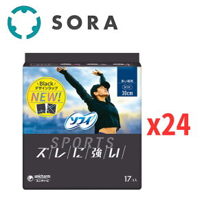 jE`[ \tB SPORTS p H 30cm 17Rx24 ĂYɂ pivL X|[c z ^ KyP[Xiz