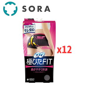 jE`[ \tB ɂ҂FIT ANeBu^Cv sAO[ MTCYx12 zV[c p ĂYɂ KtBbgyP[Xiz