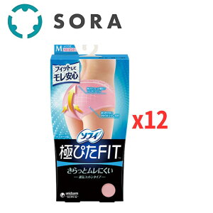 ���j�E�`���[�� �\�t�B �ɂ҂�FIT �ʋC�R�b�g���^�C�v �x�r�[�s���N M�T�C�Y x12 �z���V���[�c �����p �ʋC�� �ǍD �Y���ɂ��� ���K�t�B�b�g�y�P�[�X�i�z