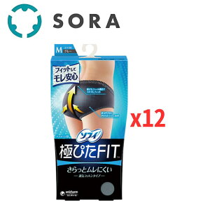 ���j�E�`���[�� �\�t�B �ɂ҂�FIT �ʋC�R�b�g���^�C�v �O���[ M�T�C�Yx12 �z���V���[�c �����p �ʋC�� �ǍD �Y���ɂ��� ���K�t�B�b�g �܂Ƃߔ����y�P�[�X�i�z