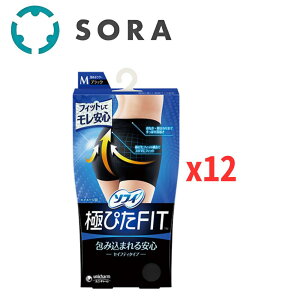 ���j�E�`���[�� �\�t�B �ɂ҂�FIT �Z�C�t�e�B�^�C�v �u���b�N M�T�C�Yx12 �z���V���[�c �����p �Y���ɂ��� ���S�t�B�b�g ���K �ʋC�� �ǍD�y�P�[�X�i�z