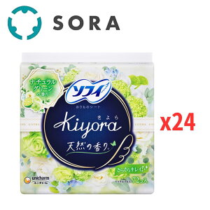 jE`[ \tB Kiyora i`O[̍ 72Rx24 ̃V[g z ₩ fC[PA 炳K tbV^CvyP[Xiz