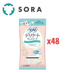 ���j�E�`���[�� �\�t�B �f���P�[�g�E�F�b�g�V�[�g ��������̍��� 10����x48 �f���P�[�g�]�[���p �@�����V�[�g �����P�A ����₩���� �g�ѕ֗��y�P�[�X�i�z