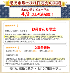 【感動で涙】古希祝い喜寿祝い傘寿卒寿白寿のお祝いなどにお名前から詩を作る感動の贈り物名前の詩【長寿祝い専用】(Sサイズ)【手書き文字】名入れプレゼントネームポエム名前詩メッセージ2L写真立て