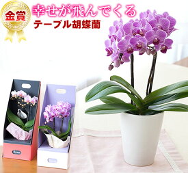 楽天市場 鉢植え 長持ちの通販