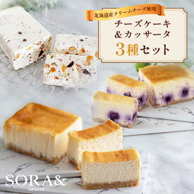 送料無料 &Sky3種セット チーズケーキ(プレーン&ブルーベリー) カッサータ 食べ比べ チーズケーキお取り寄せ アイスケーキ 冷凍ケーキ 送料無料 フルーツケーキ ケーキ ブルーベリーチーズケーキ 濃厚 ベイクドチーズケーキ 絶品 お取り寄せスイーツ 美味しいお菓子ギフト