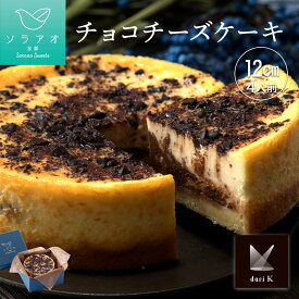 敬老の日 ギフト スイーツ 2026 チーズケーキ スイーツ プレゼント 濃厚 チョコレートチーズケーキ お菓子 送料無料 冷凍 チョコレート 誕生日ケーキ お礼 内祝い 女性 男性 甘くない お取り寄せスイーツ 高級 最強配送 高級チョコ 熨斗 御中元 敬老の日 クリスマスケーキ