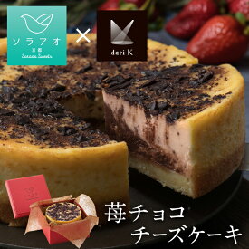 ＼ 5月末までの限定販売 ／ ソラアオ 苺チョコチーズケーキ チーズケーキ チョコ ケーキ 送料無料 2024 限定 チョコレートケーキ スイーツ福袋 スイーツ セット 冷凍 日持ち いちご チョコレート ギフト ストロベリー チーズケーキお取り寄せ 誕生日 お中元 父の日 祝い 菓子