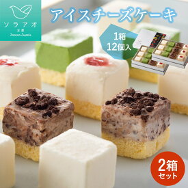お中元 2025 プレゼント チーズケーキ アイスケーキ 送料無料 アイスチーズケーキ 2箱セット ソラアオ 誕生日 子供 スイーツ アイスクリーム ケーキ チーズケーキ お取り寄せスイーツ 人気 スイーツ 高級 あす楽 菓子 最強配送 熨斗 敬老の日