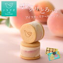 ＼ 期間限定・8月31日まで ／ お中元 2025 チーズケーキ お取り寄せスイーツ アイス 送料無料 アイスチーズケーキ サ…